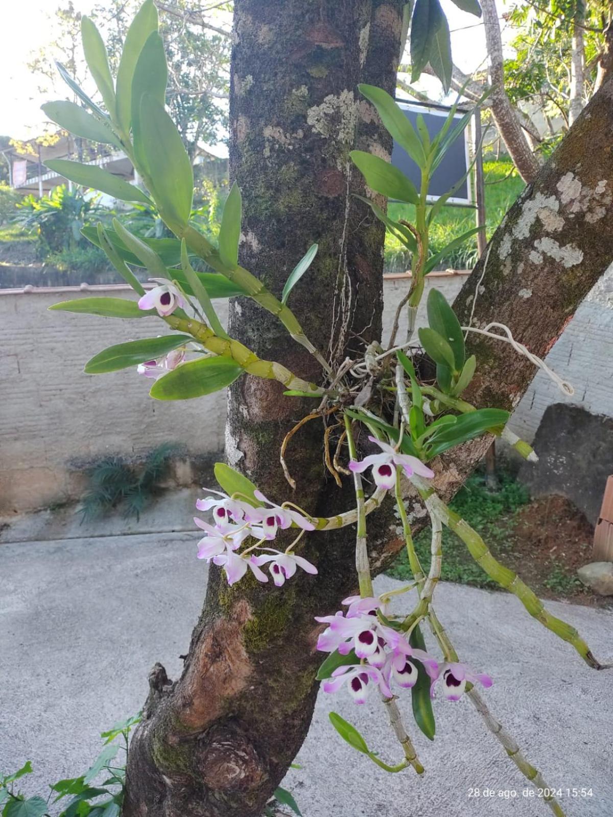 بينيدو Pousada Cantinho Do Vale المظهر الخارجي الصورة